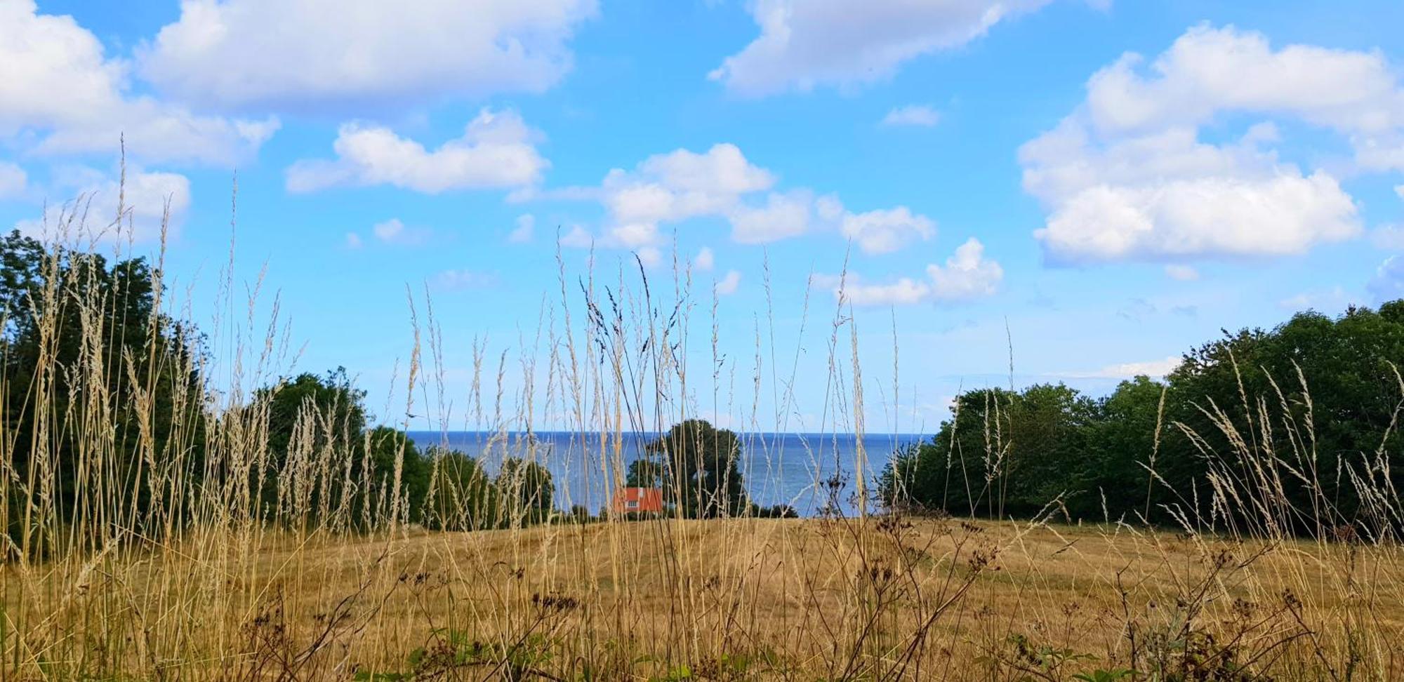 Pyttegarden Apartments Gudhjem Kültér fotó