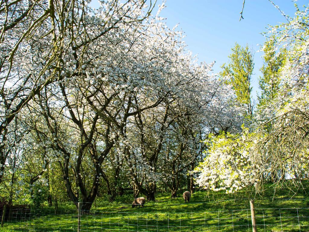 Pyttegarden Apartments Gudhjem Kültér fotó